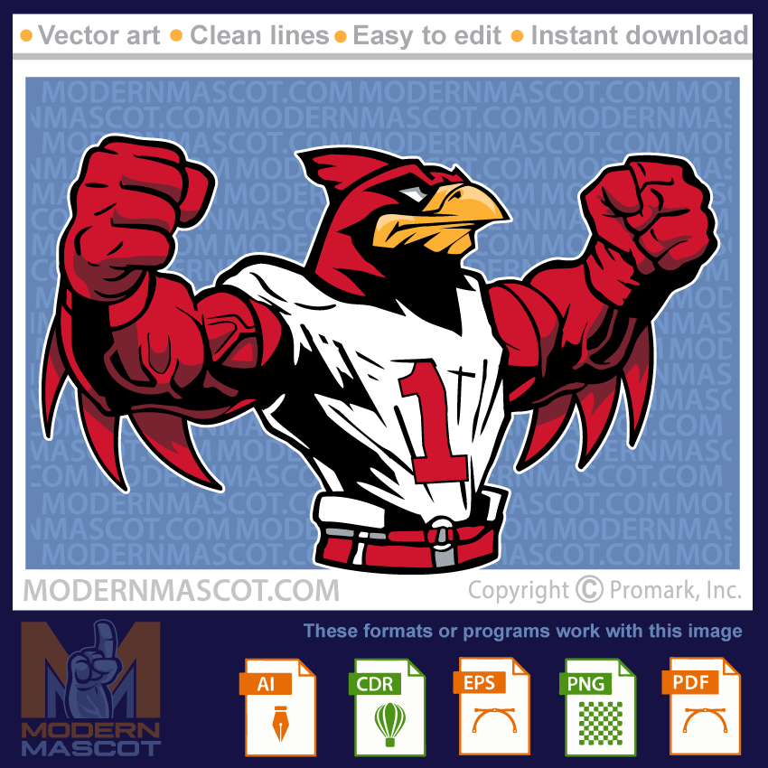 Cardinal mascot football player for teams and sports and schools