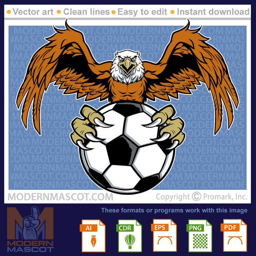 Eagle Soccer - eagle_23_soccer_02