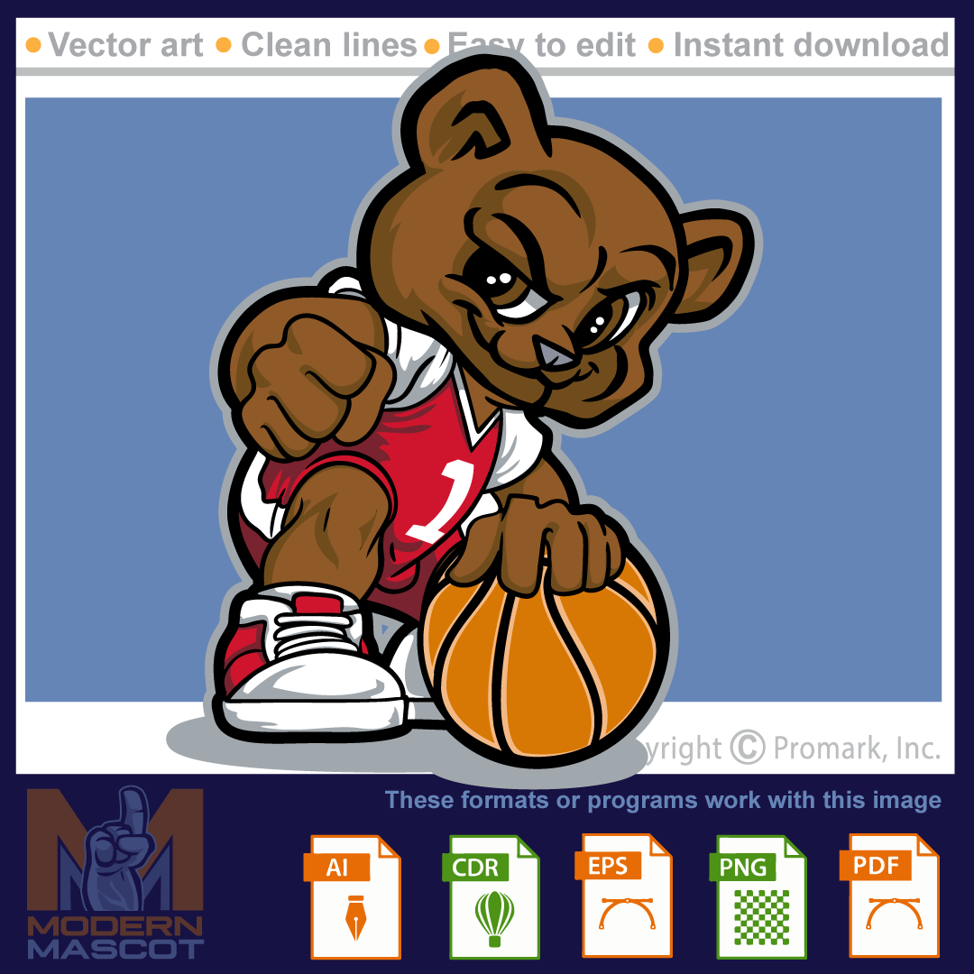 Bear youth basketball 4- bear_22_basketball_04