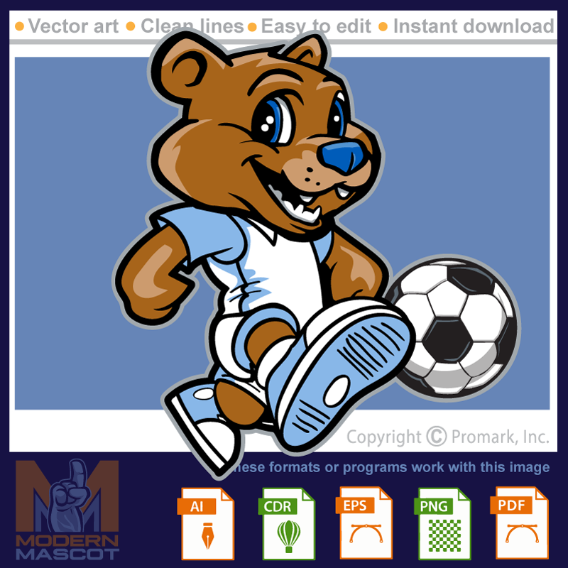 Bear youth soccer - bear_22_soccer_01