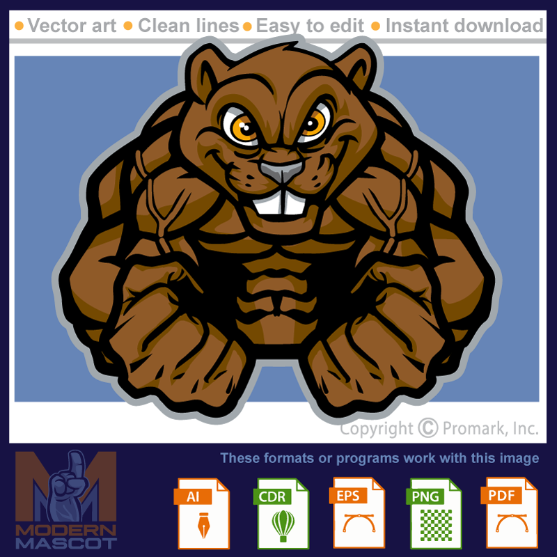 Beaver Muscle 1 -beaver_22_muscle_01