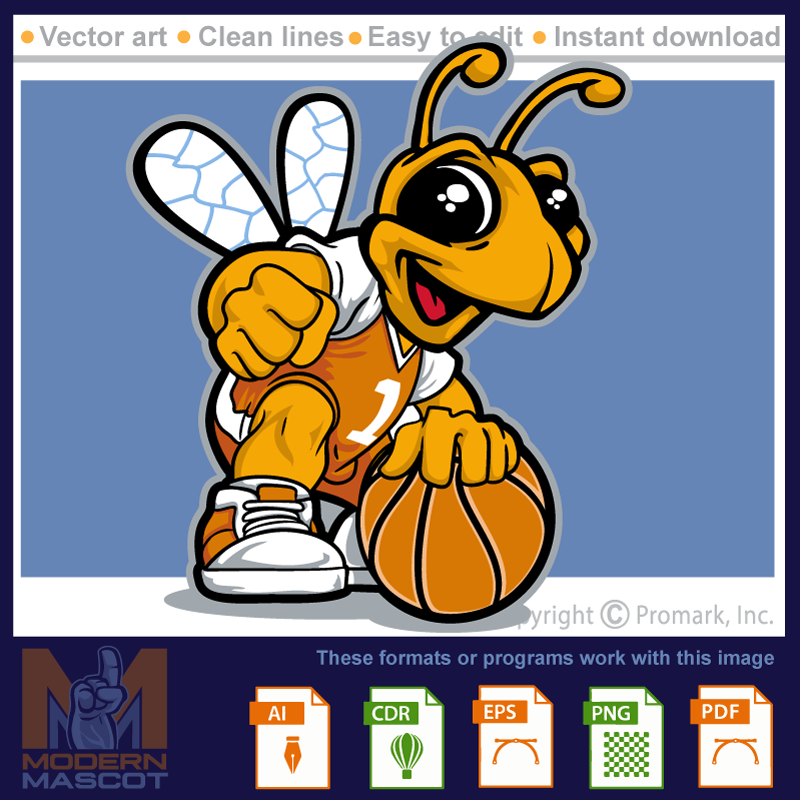 Bee Basketball 4 - bee_22_basketball_04