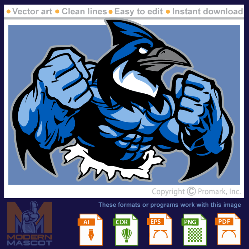 Bluejay Strong 2 - bluejay_22_fitness_02