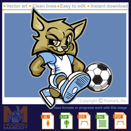 Bobcat Youth Soccer - bobcat_22_soccer_01