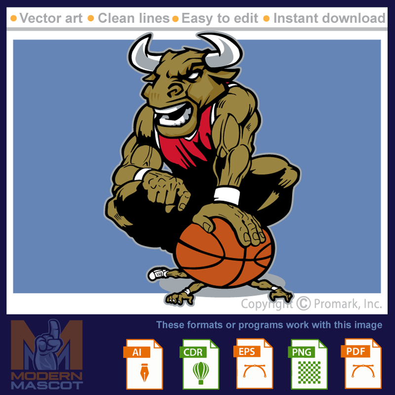 Bull Basketball - bull_22_basketball_04