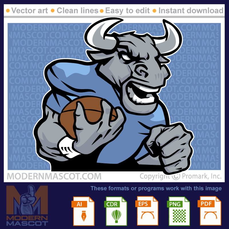 Bull Football - bulls_23_football_18