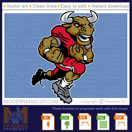 Bull Football - bulls_23_football_19