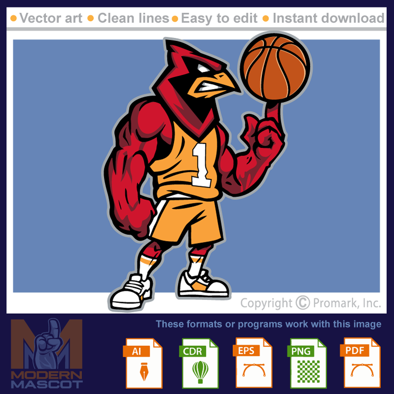 Cardinal Basketball 1 - cardinal_22_basketball_01