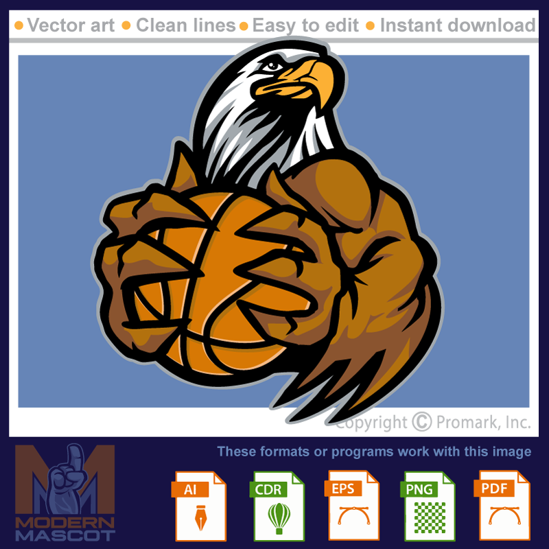 Eagle Basketball 1 - eagle_basketball_22_01