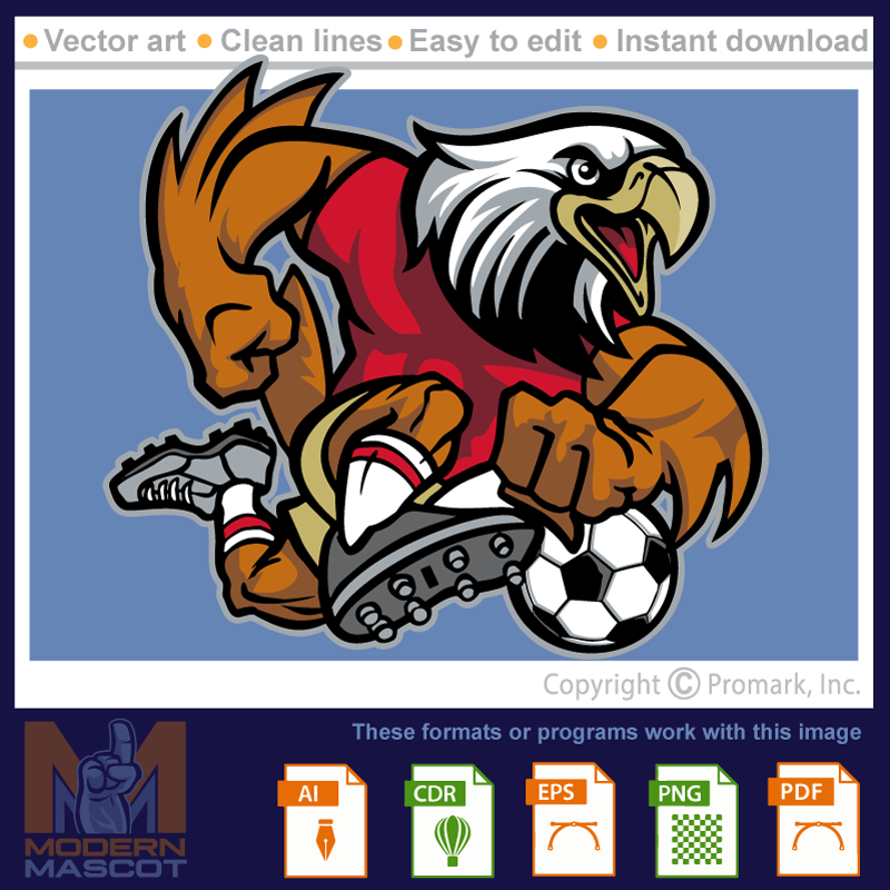 Eagle Soccer - eagle_22_soccer_01