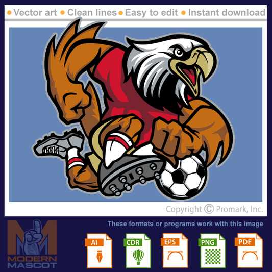 Eagle Soccer - eagle_22_soccer_01