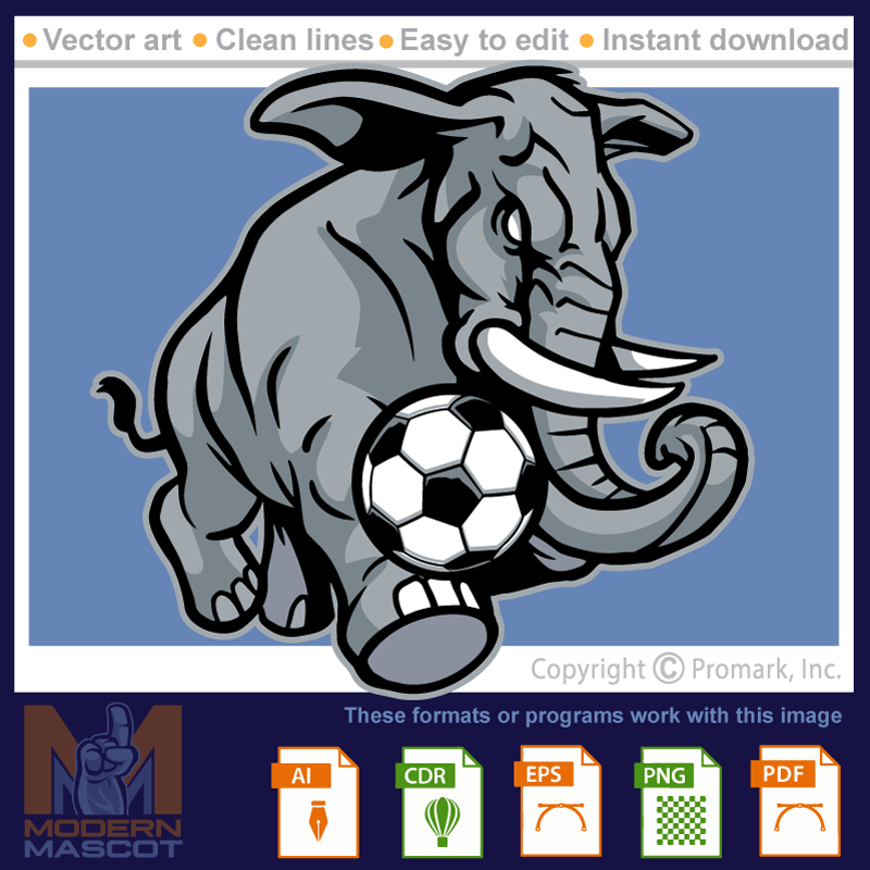 Elephant Soccer 1 - elephant_22_soccer_01