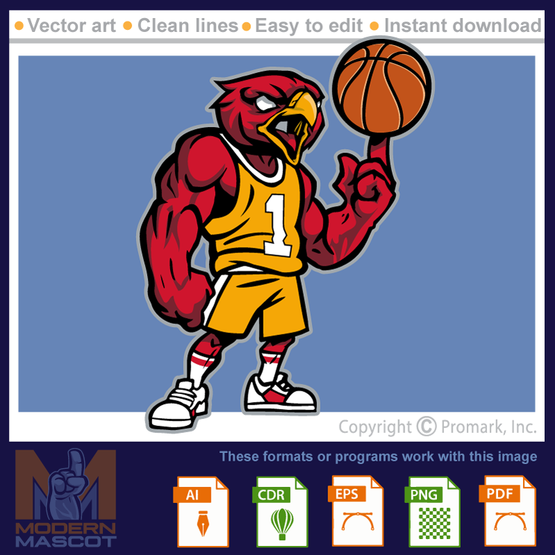 Falcon Basketball 1 - falcon_22_basketball_01