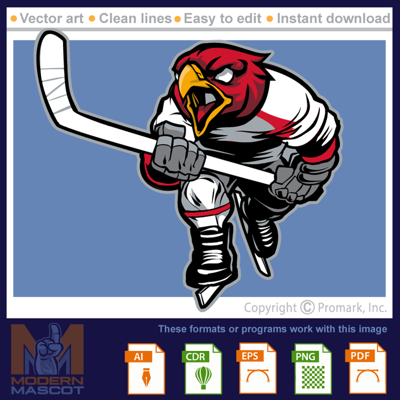 Falcon Hockey 1 - falcon_22_hockey_01