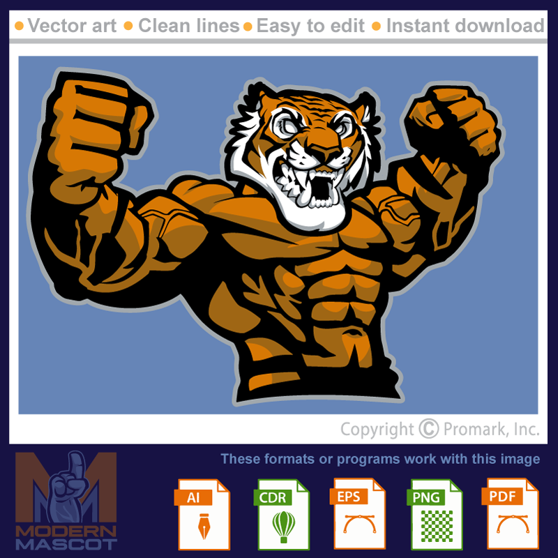 Tiger Muscle - tiger_22_18