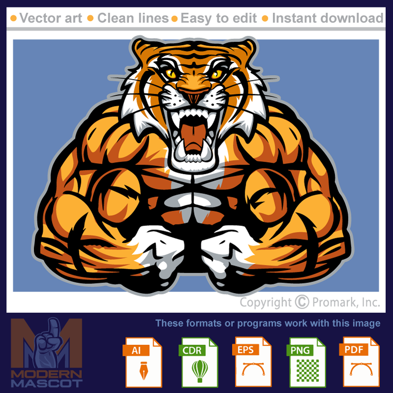 Tiger Muscle - tiger_22_22