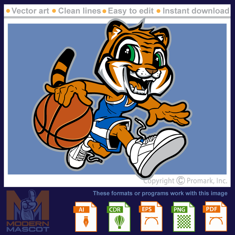 Tiger Basketball 3 - tiger_22_basketball_03