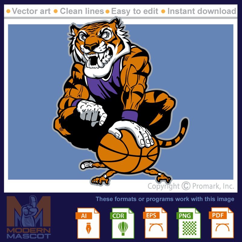 Tiger Basketball 6 - tiger_22_basketball_06