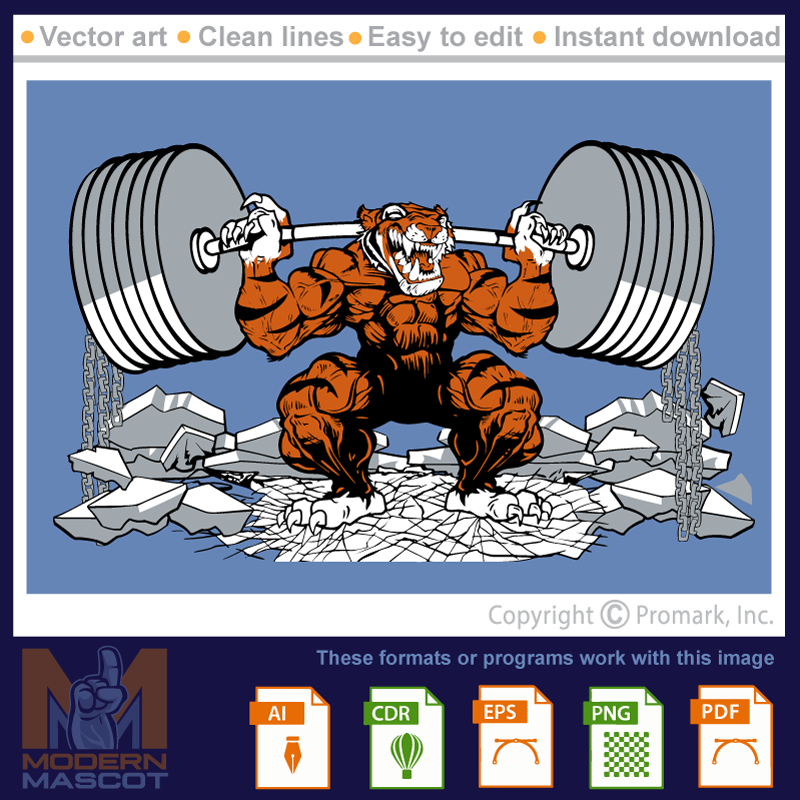 Powerlifting Tiger - tiger_22_fitness_04