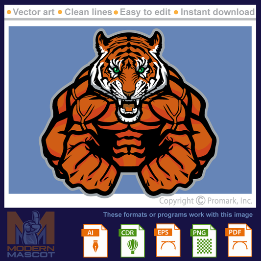 Tiger Muscle Pose - tiger_22_fitness_05