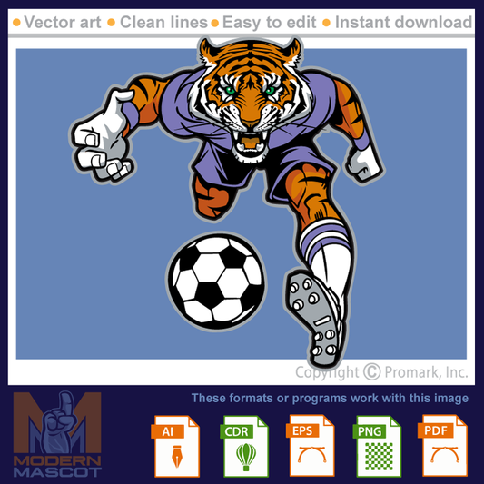 Tiger Soccer 3 - tiger_22_soccer_03