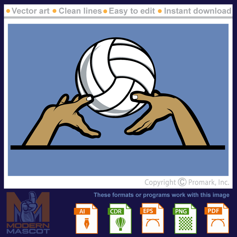 Volleyball Set - volleyball_22_12