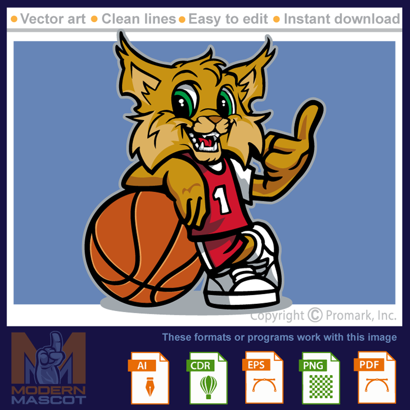 Wildcat Basketball 2 - wildcat_22_basketball_02