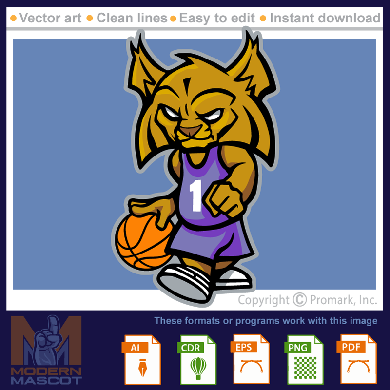 Wildcat Basketball 3 - wildcat_22_basketball_03