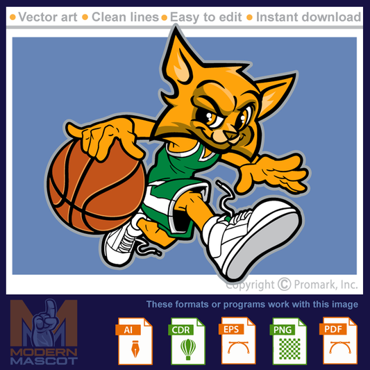 Wildcat Basketball 4 - wildcat_22_basketball_04