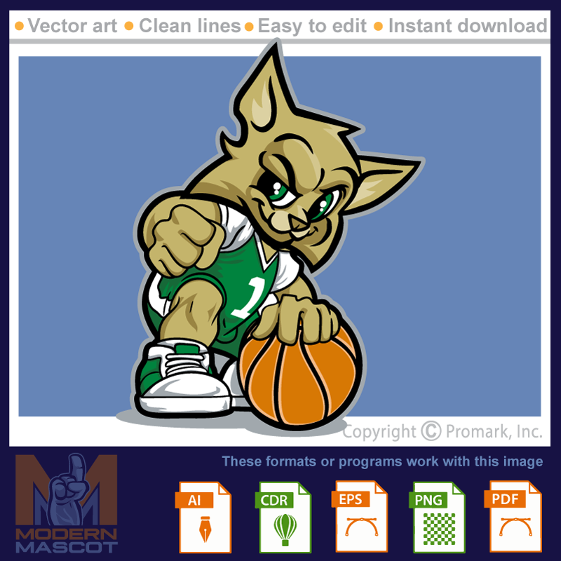 Wildcat Basketball 5 - wildcat_22_05