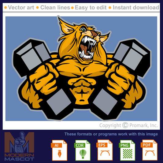 Wildcat Muscle 1 - wildcat_22_fitness_01