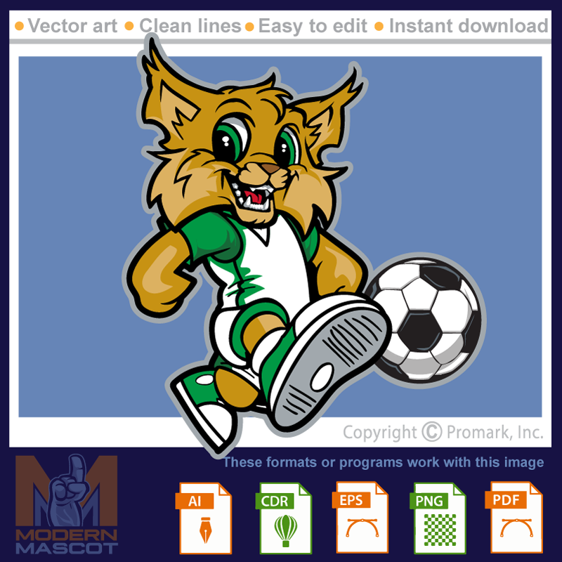 Wildcat Soccer 1 -wildcat_22_soccer_01